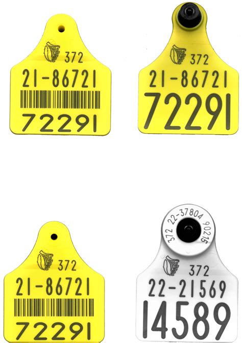 rfid tags in cattle|allflex rfid tags for cattle.